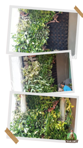 Hasil Pekerjaan Vertical Garden